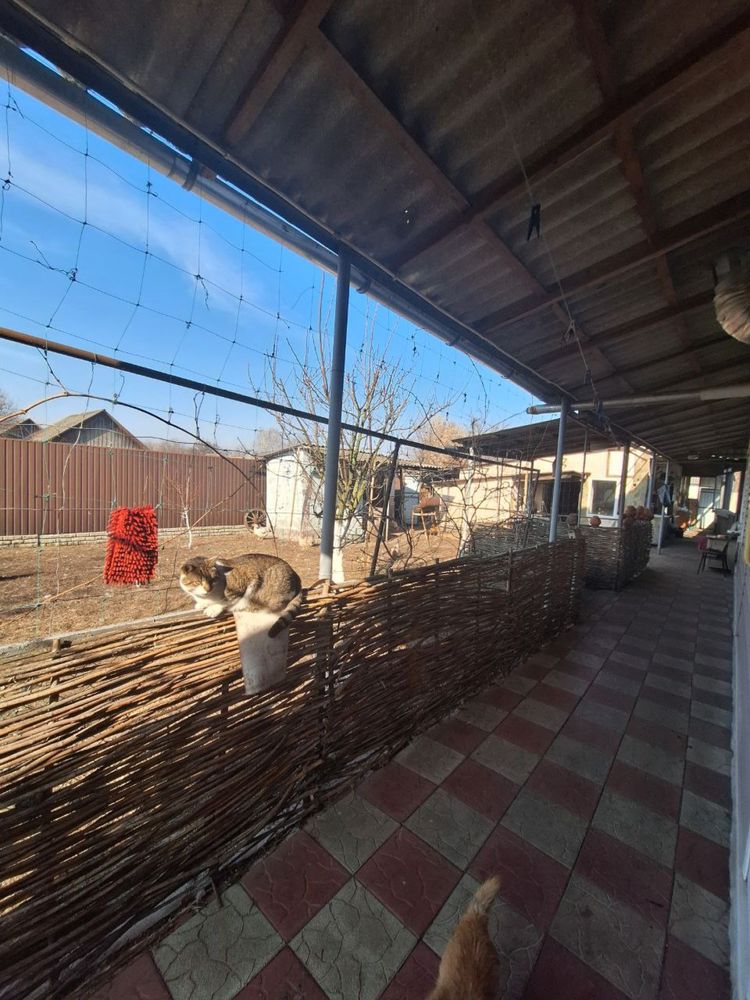 Продам будинок, сел. Линовиця