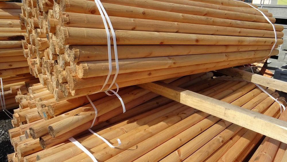 Słupki drewniane, paliki do siatki leśnej, wys. 2,6m