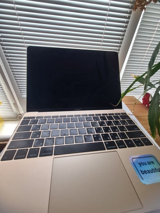 MacBook 12", дісплей Retina, 2015