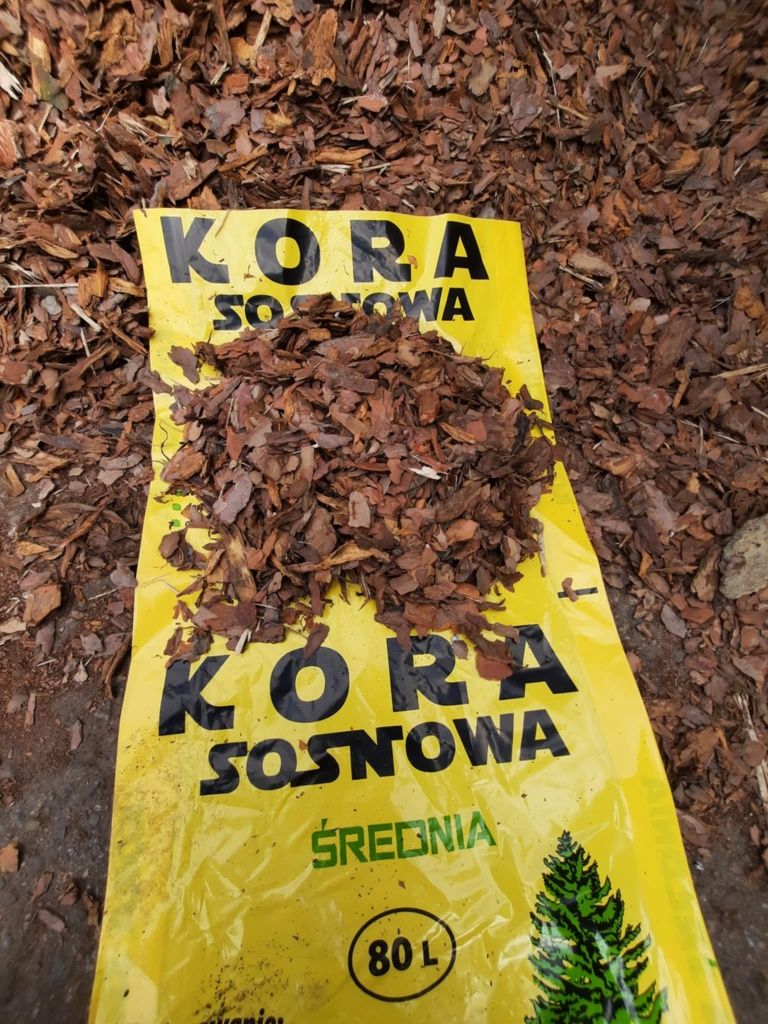 PRODUCENT Kora sosnowa 80L bardzo ładna dostawa gratis.