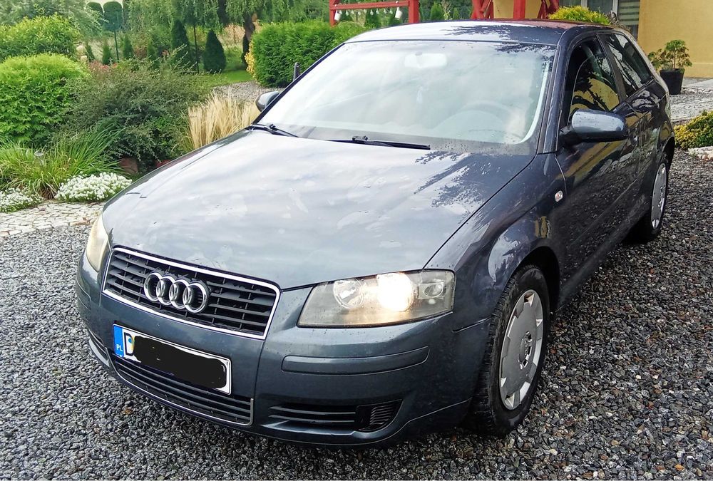 Audi  a3       1.6 benz   zarejestrowany