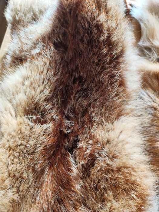Skóry z lisa, futra z lisa