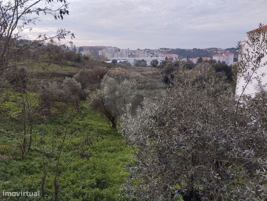 Terreno  para venda