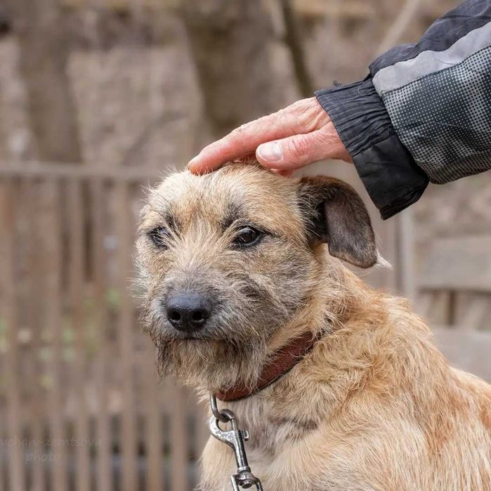 Справжня Бендерочка шукає родину