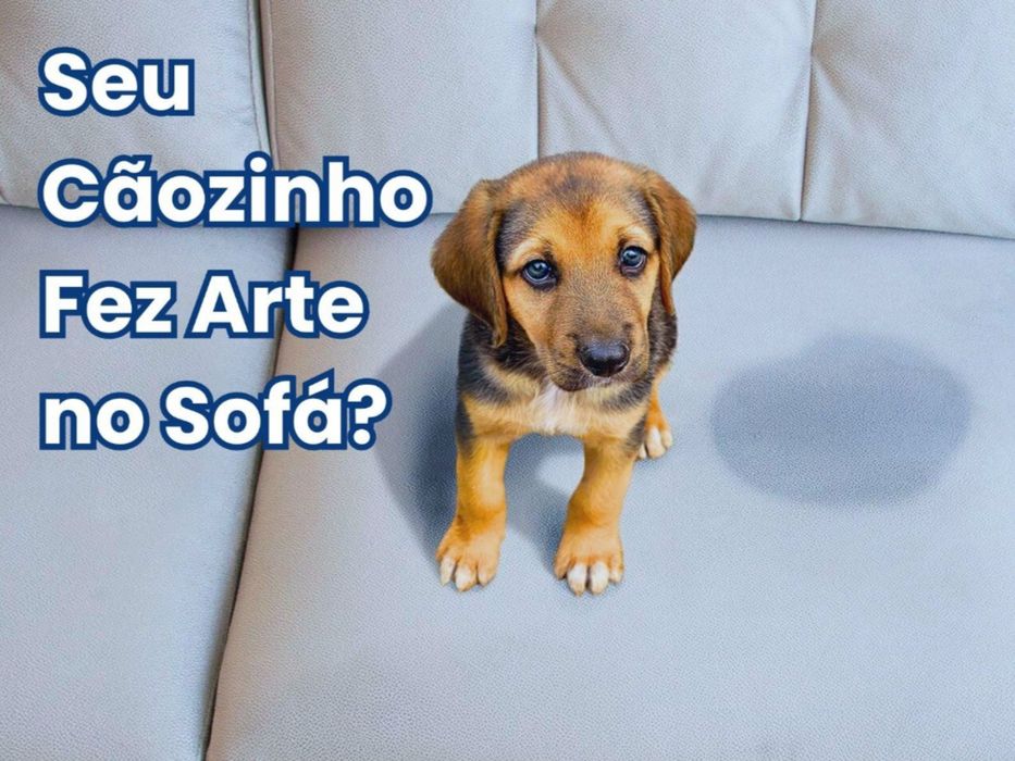 Todos os tipos de limpezas