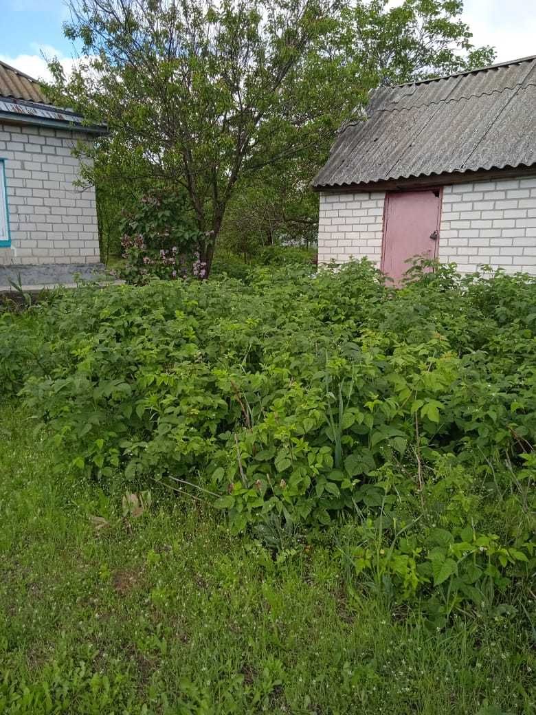 Продаж будинку у селі Чехівка Черкаської області біля Дніпра