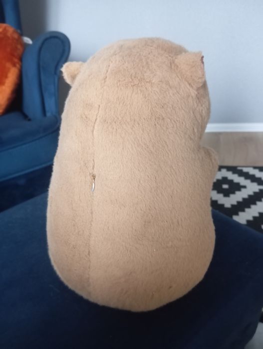 Sprzedam pluszak Kapibara