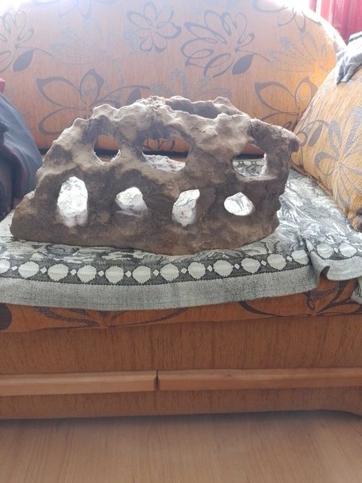 sprzedał skałę do akwarium