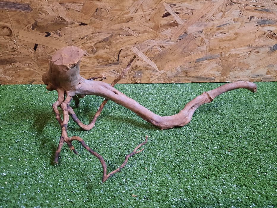 Korzeń do akwarium Red Moore Wood nr 1173 o wymiarach 41/15/23