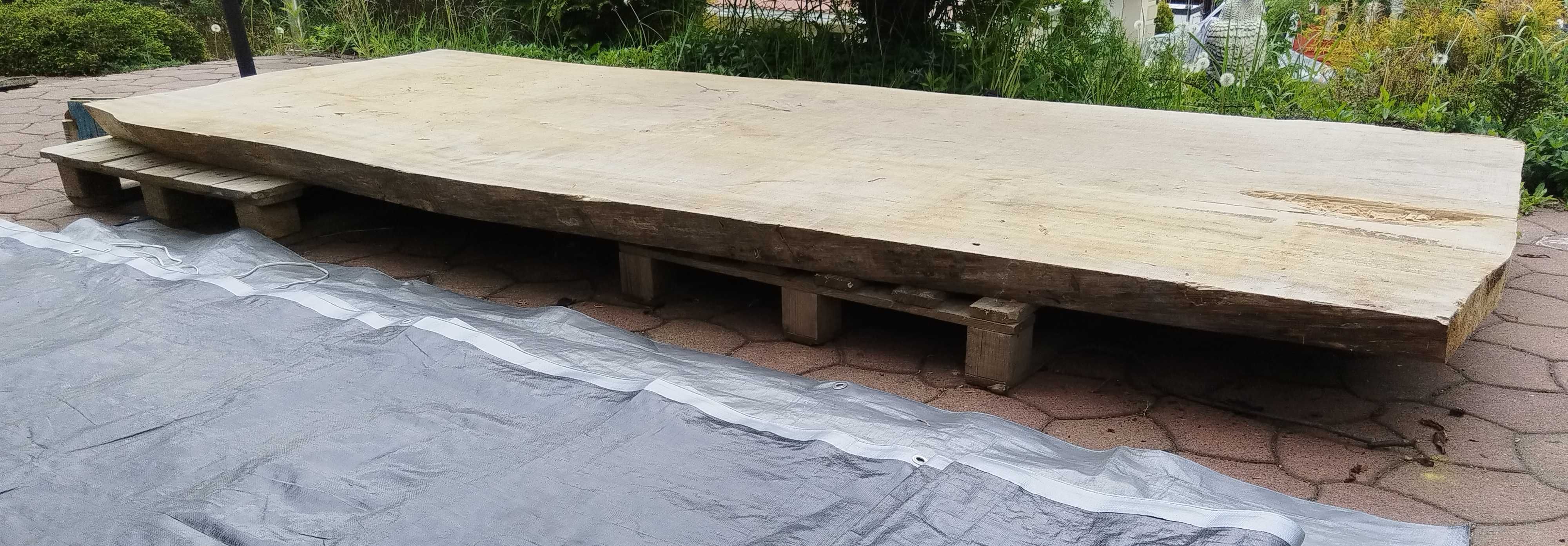 Stół jednolity blat topola 300x110 cm