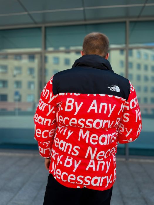 Зимовий пуховик The North Face унісекс