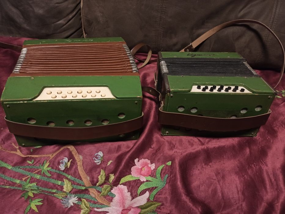 Гармонь ,, Ізяслав,, гармошка для юних гармоністів