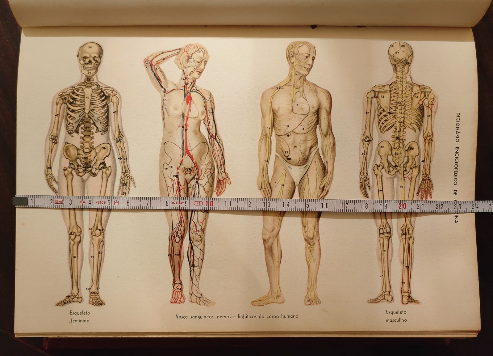 Dicionário enciclopédico de medicina