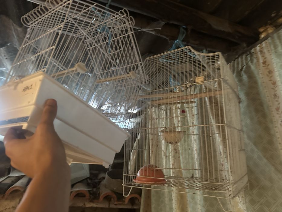 Duas gaiolas usadas novas para passaros
