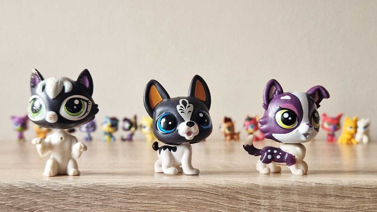 Zestaw Littlest Pet Shop