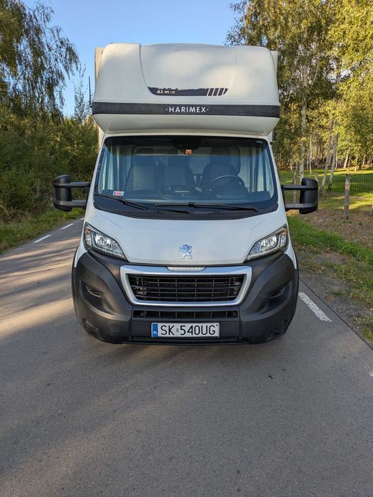 Wynajem Wypożyczalnia Aut Dostawczych Busów Modliborzyce