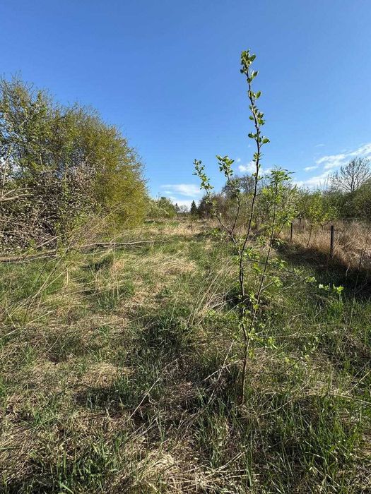 Будинок Бахматівці на ділянці 29 соток