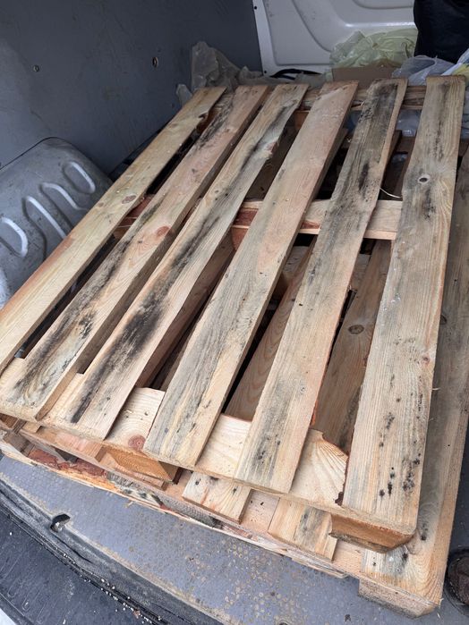 Піддони палети продам