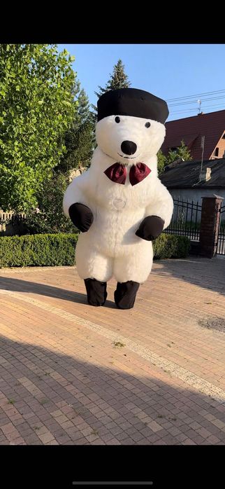 żywa maskotka, biały miś, tancerka, tancerz, striptizer, striptizerka