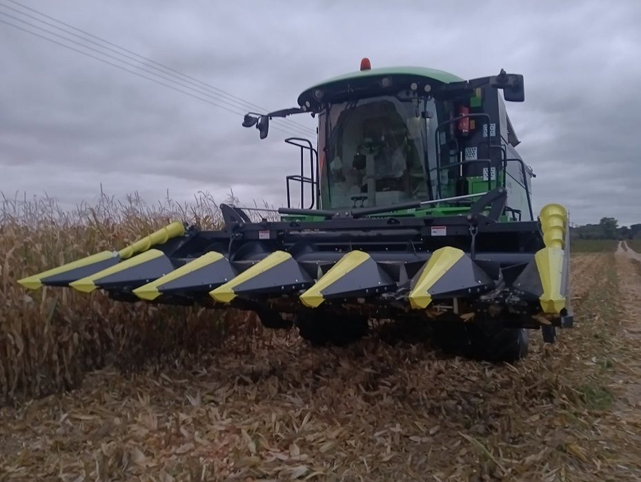 Zbiór, koszenie kukurydzy na ziarno