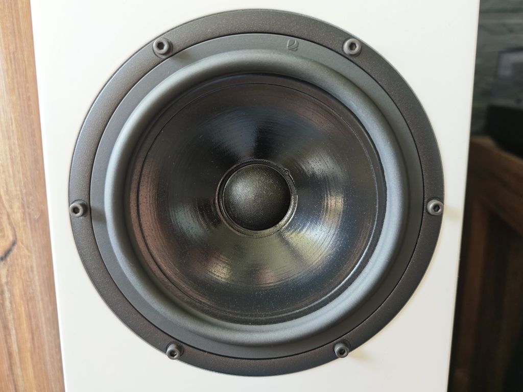 Pylon Audio Diamond 30 | biały mat | Kartony | Gwarancja