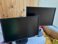 Монитор EIZO FlexScan EV2336W.