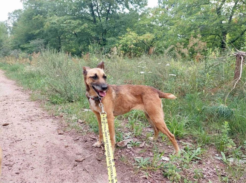 Osierocona Lusia chce być znów kochana