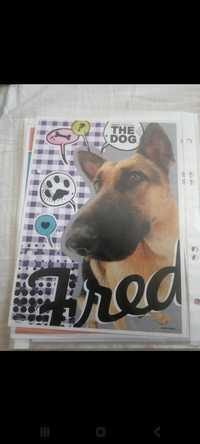 Karteczka do segregatora duża The Dog