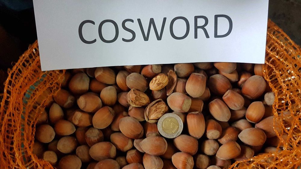 Orzechy laskowe – świeże, 14 zł/kg!