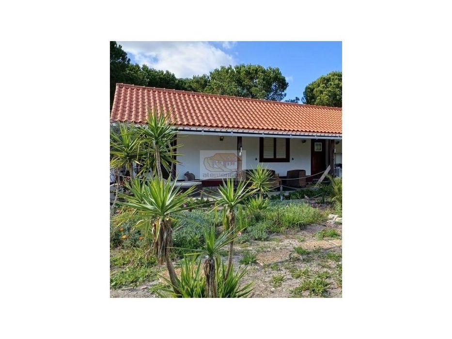 Quinta com casa e pinhal em Grândola!