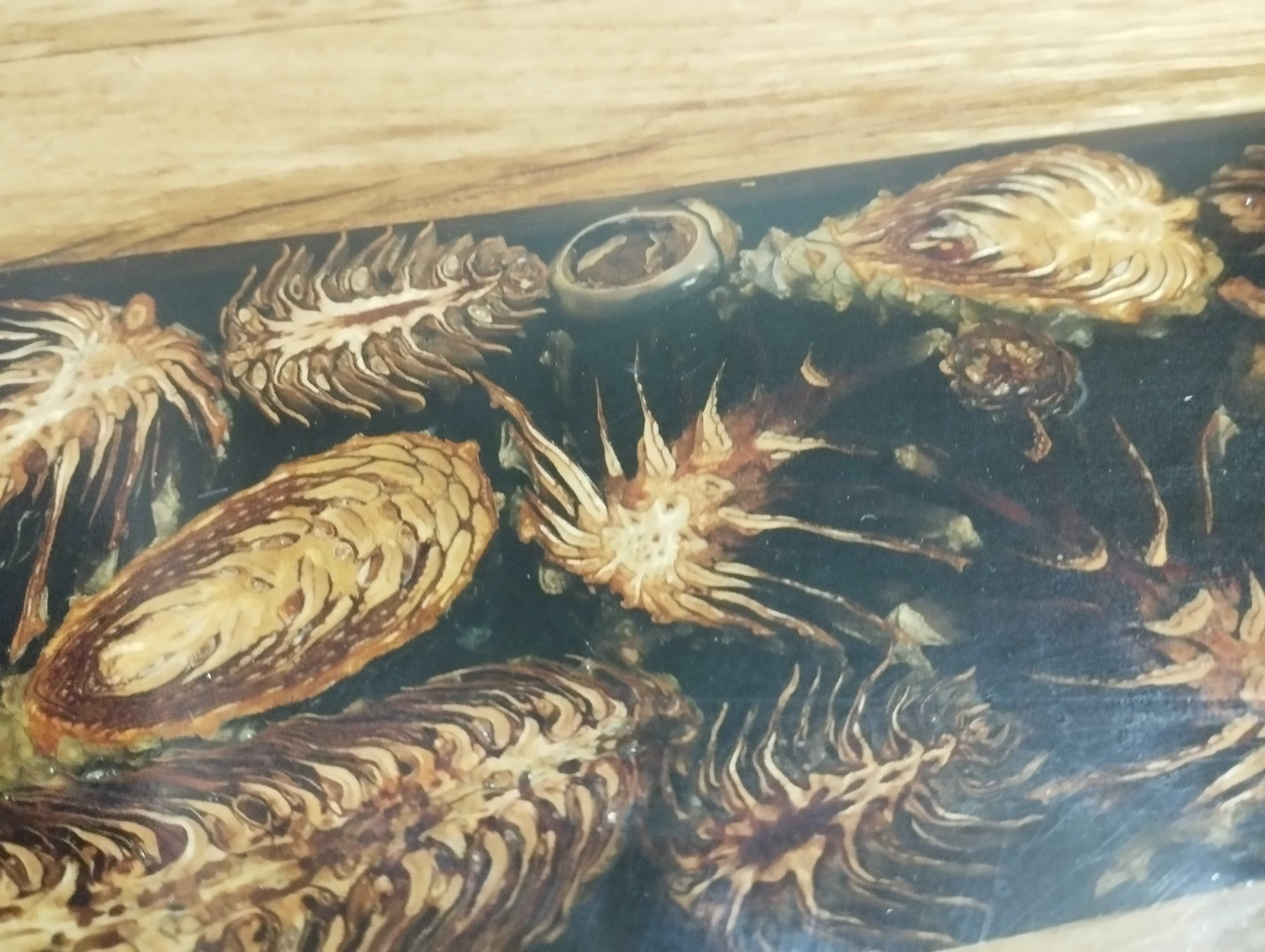 Blat pod Stół Ława 155x55 Naturalny Dąb Syszki 80x80 x50 Żywica Drewno
