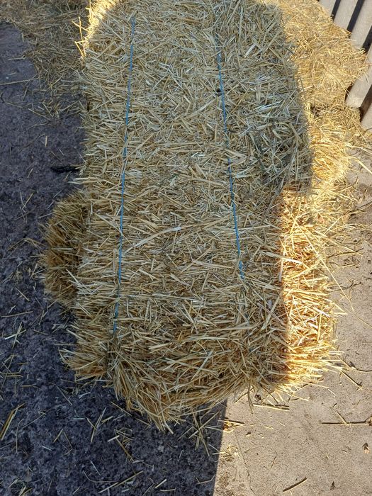 Солома і сіно продам