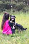 Cudowna jamniczka Mimi do adopcji