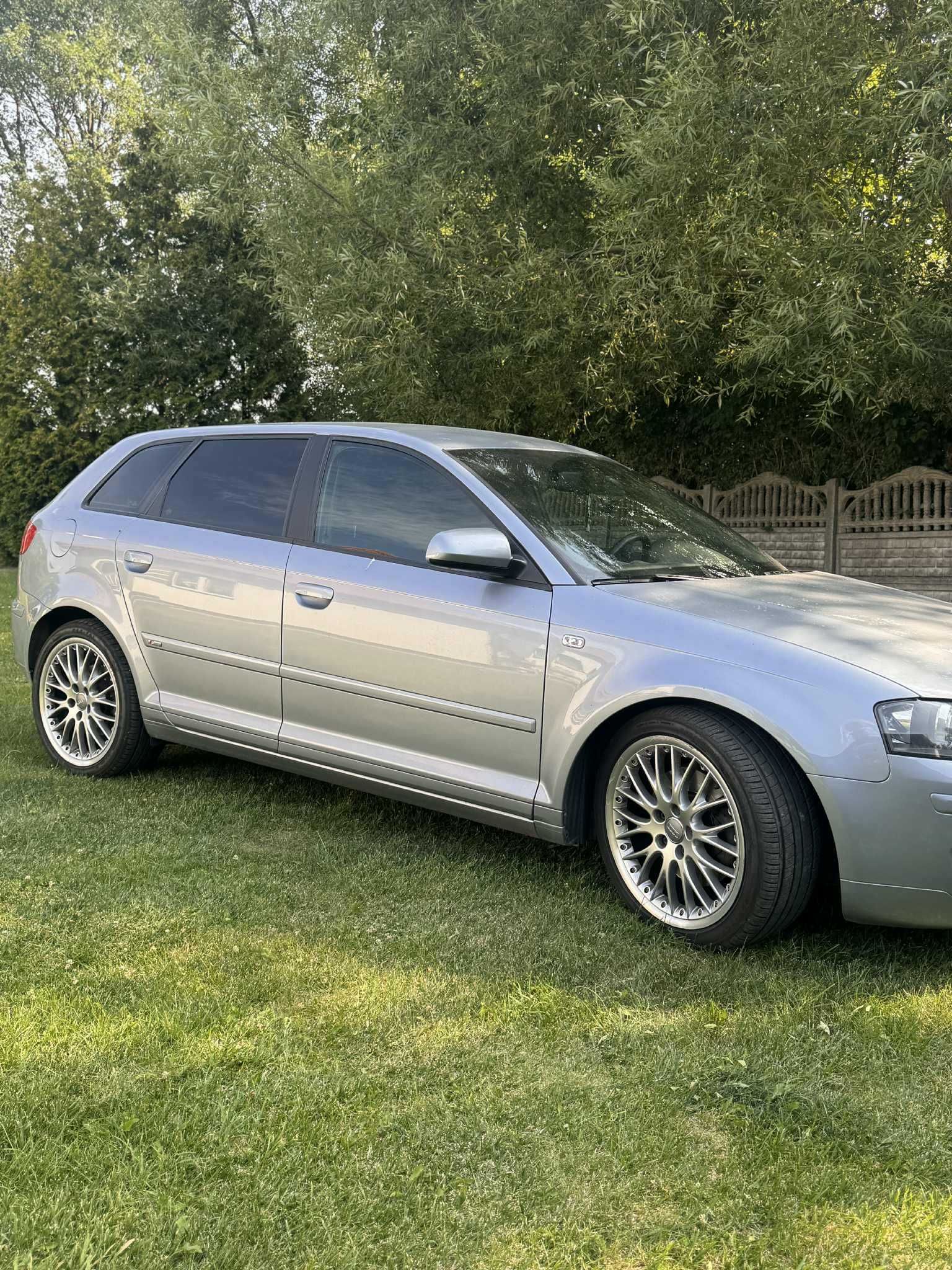 Audi A3 8P 2.0 TFSI