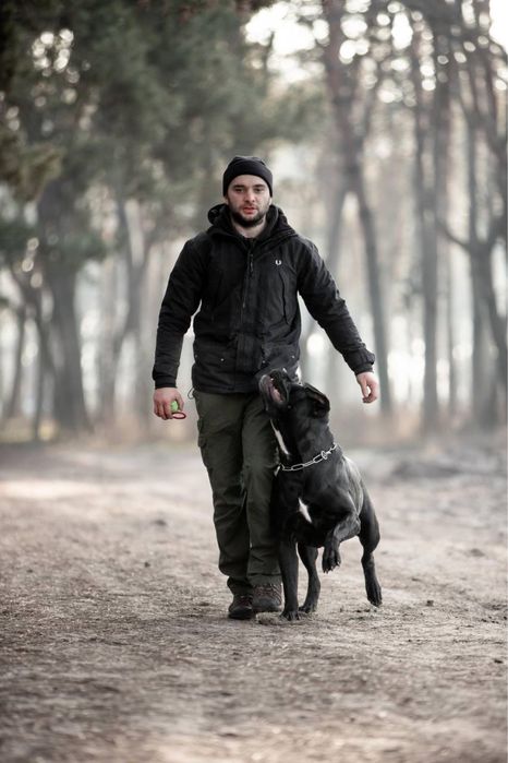 Кобель для вязок