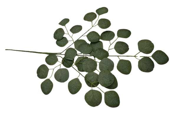 Gałązka Eukaliptus 60 CM