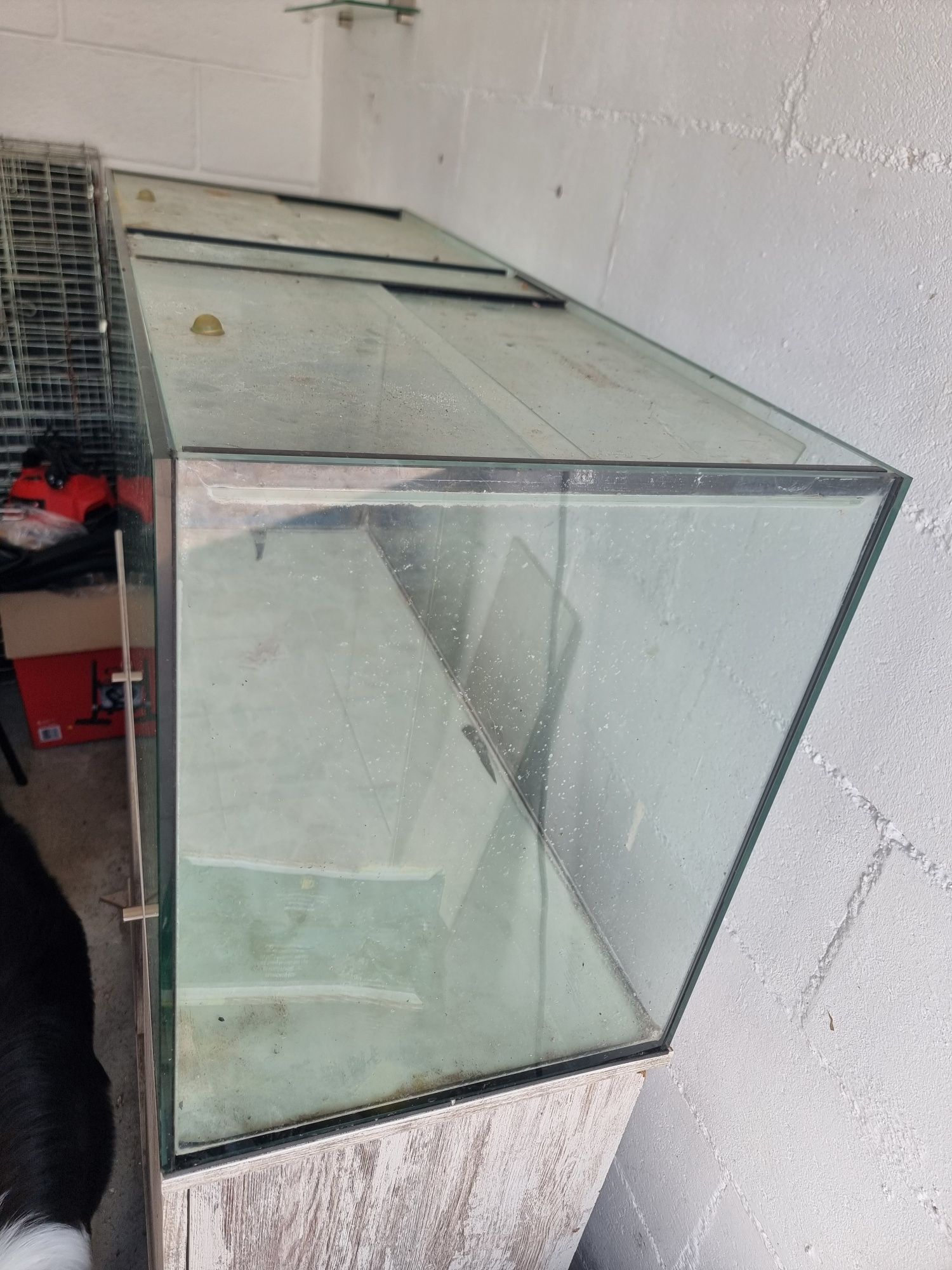 aquario com movel scalare