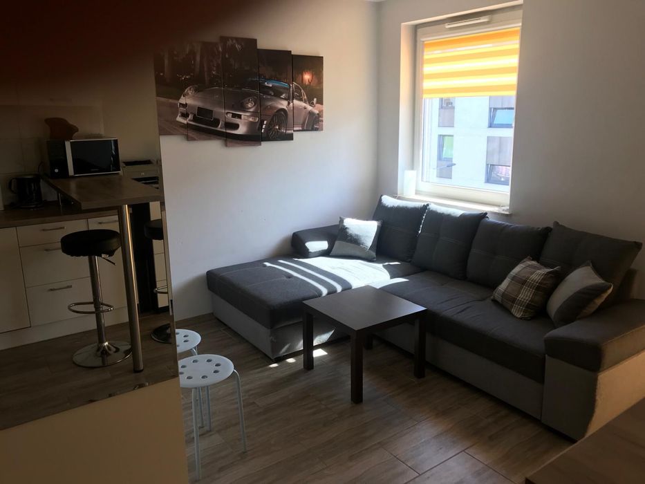 Kawalerka do wynajęcia Nowy Świat