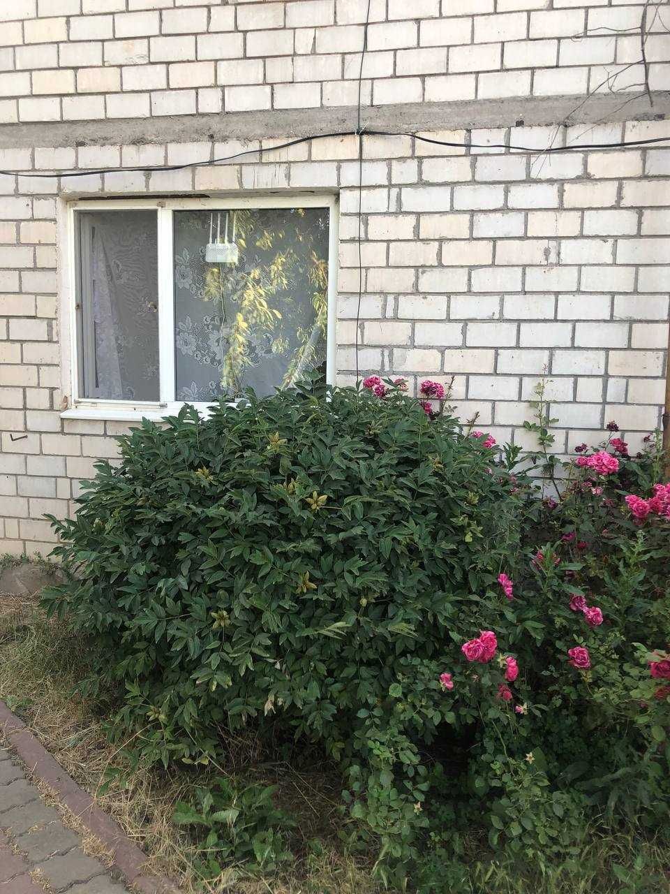 Сдам дом посуточно