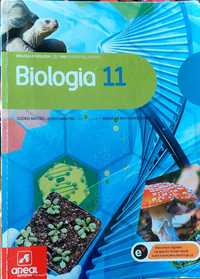 Manuais de Biologia e Geologia do 11º ano - Areal