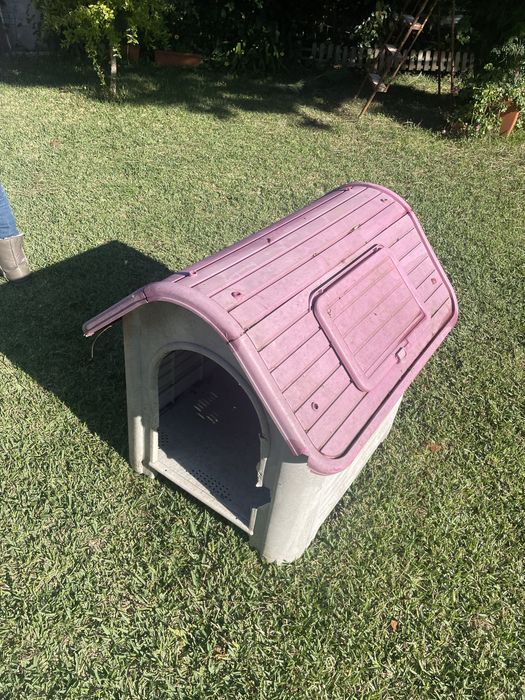 Casota cão medio