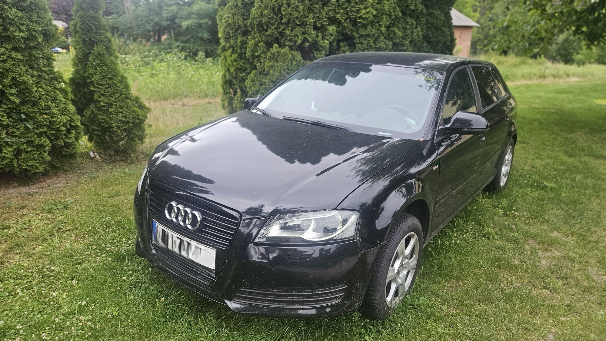 Audi A3 8P 2.0 TDI