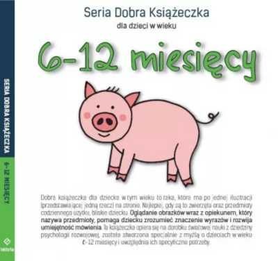 Dobra książeczka 6 - 12 miesięcy - Agnieszka Starok