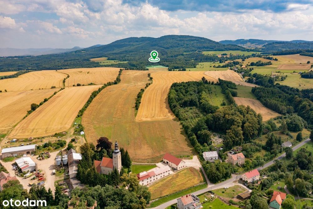 Działki rolne w Rząśniku, gm. Świerzawa, widok gór