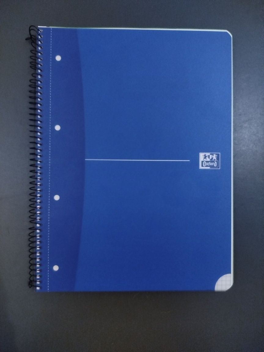 Zeszyt kołozeszyt Oxford w kratkę A4 80 kartek 160 stron