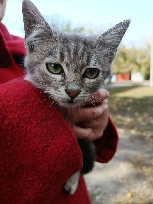 Домівка для двох котиків!!!
