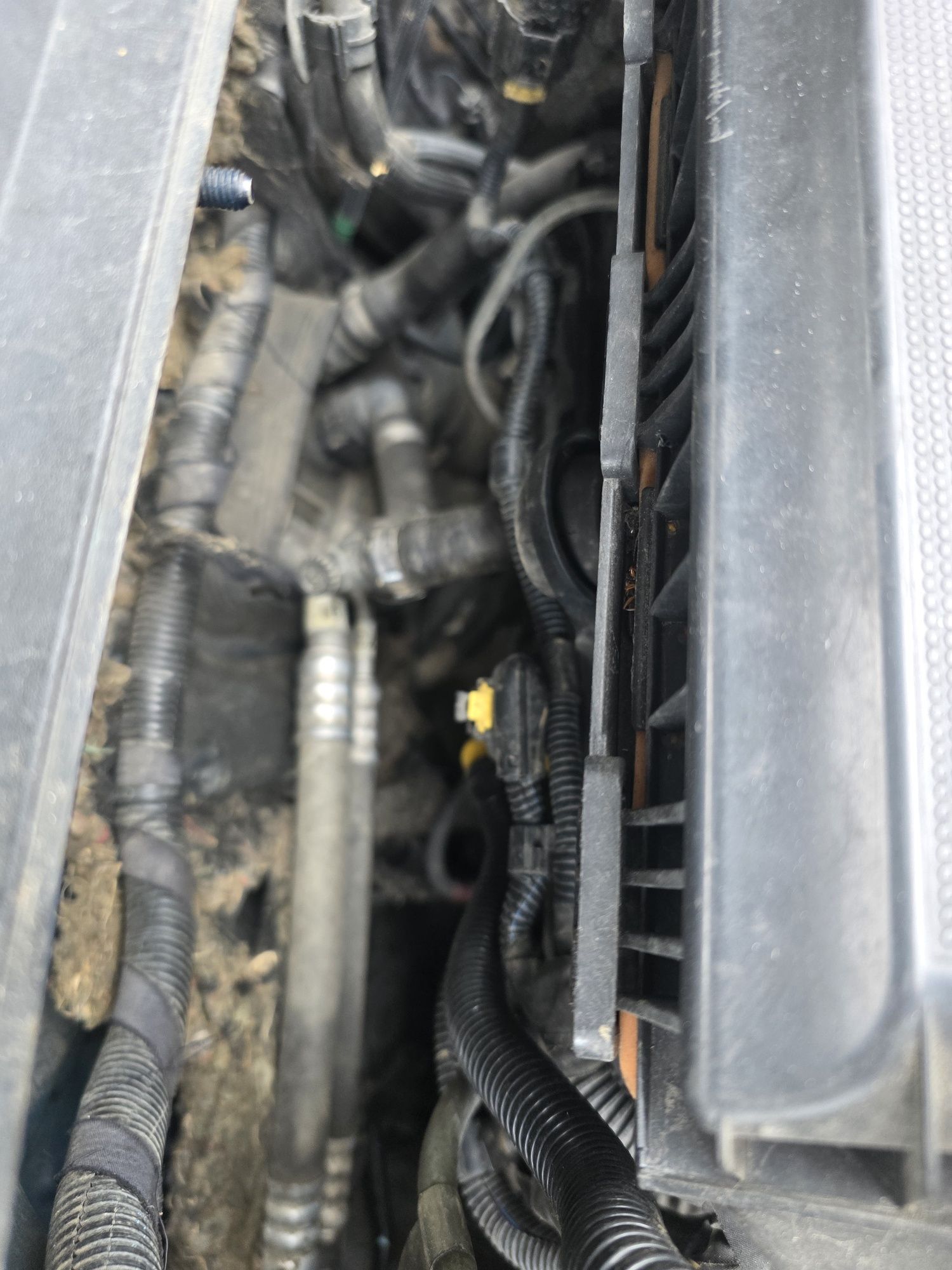 Silnik 1.3 Jtd Multijet Fiat Doblo Punto Fiorino Bipper Nemo