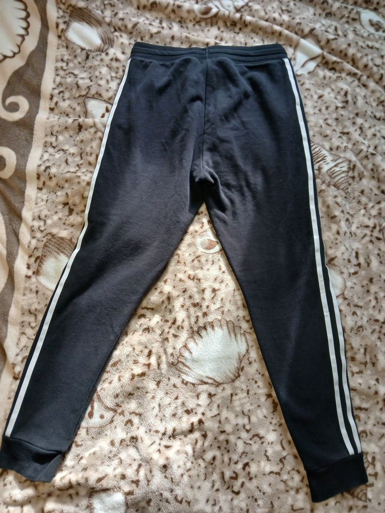 штани adidas лампаси