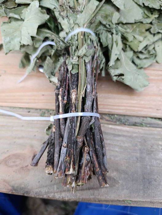 Дубовые банные веники оптом