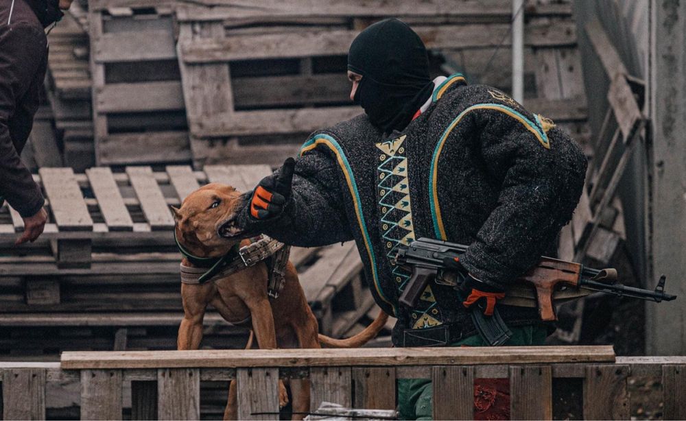Дрессировка собак,Кинолог Одесса